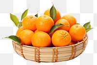 PNG Tangerines grapefruit tangerine basket. 