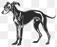 PNG Italian greyhound dog kangaroo wallaby stencil.