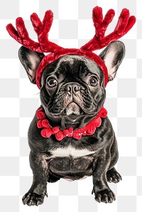 PNG Black french bulldog dog dog wearing a red deer antlers headband on head christmas costume cute.