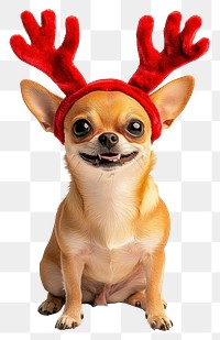 PNG Chihuahua dog dog wearing a red deer antlers headband on head christmas costume happy.