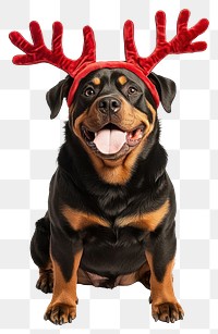 PNG Rottweiler dog dog wearing a red deer antlers headband on head christmas costume cute.