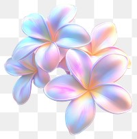 PNG Plumeria flowers pastel colors.