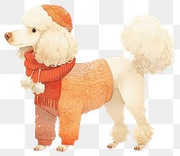 PNG Stylish poodle in winter attire