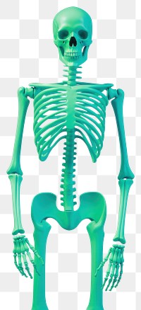 PNG Skeleton man peaking illustration colorful skeletal.