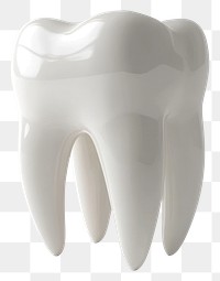 PNG One teeth realistic tooth white.