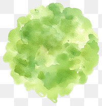 PNG Green tree illustration watercolor abstract.