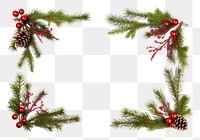 PNG Christmas tree branch plant. AI generated Image by rawpixel.