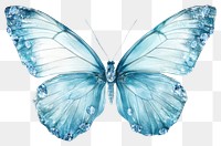 PNG Soft blue butterfly gemstones invertebrate accessories.