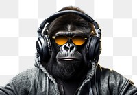 Gorilla glasses headphones portrait. 