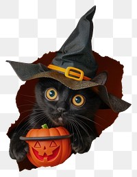 PNG Adorable Halloween cat, transparent background