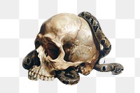 PNG  Skull with snakes illustration skull art.