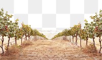 PNG  Vine yard illustration countryside vineyard.