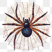 PNG Halloween spiderweb arachnid detailed art.