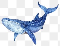 PNG  Majestic watercolor whale illustration