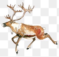 PNG A jumping brown caribou illustration watercolor wildlife.