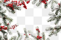 Christmas border with snow-covered fir branches and red berries on a white background christmas festival plant.