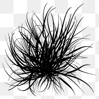 PNG Abstract black grass illustration