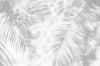 PNG Palm leaves shadow on water background abstract texture.