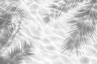 PNG Palm leaves shadow on water background pattern nature.