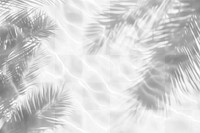 PNG Palm leaves shadow on water background abstract shadows.