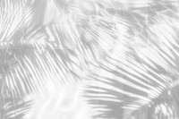 PNG Palm leaves shadow on water background abstract shadows.