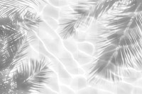 PNG Palm leaves shadow on water background nature destination.