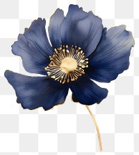 PNG Elegant blue watercolor flower illustration