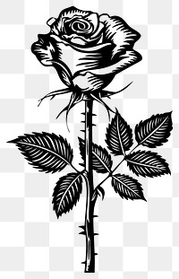 PNG Elegant black and white rose