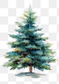 PNG Vibrant watercolor evergreen tree illustration