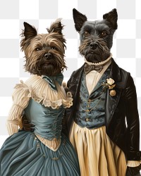 PNG Cairn Terrier couple costumes wearing vintage wedding outfits animals clothing human.