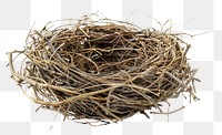 PNG Natural bird nest isolated white