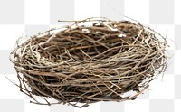 PNG Natural bird nest isolated white