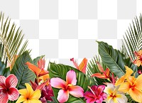 PNG  Tropical flowers border nature plant outdoors.