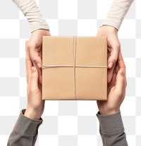 Two people sending one package cardboard box white background.