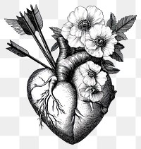 PNG Anatomical heart tattoo drawing flowers vintage.