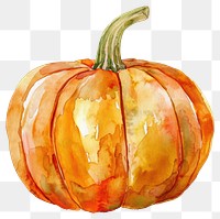 PNG Watercolor illustration of pumpkin hand-painted decoration vegetable.