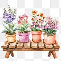 PNG  Flower pots flowers art illustration.