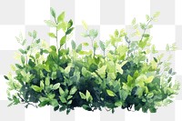 PNG  Green bushes illustration watercolor leaves.