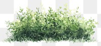 PNG  Green bushes illustration watercolor plant.