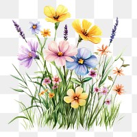 PNG  Small bouquet of colorful flowers in grass art illustration watercolor.