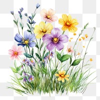 PNG  Small bouquet of colorful flowers in grass art illustration watercolor.