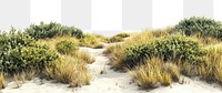 PNG Hilly dried grass fields vegetation landscape outdoors.