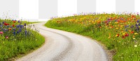 PNG Country road flower fields flowers outdoors scenery.