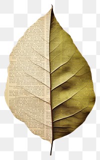 PNG  Paper spring leaf plant art white background.