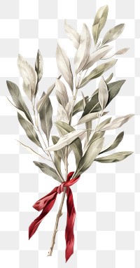 PNG Vintage botanical illustration ribbon branch leaf.