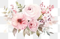 PNG White and pink bouquet illustration watercolor blossoms.