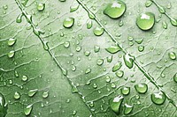 Vibrant leaf with water droplets png overlay effect, transparent background