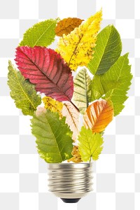 PNG Leaf Collage light bulb leaves lightbulb creative.