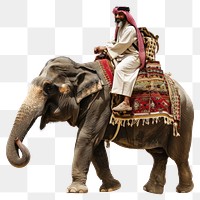 Middle east male Traveler riding elephant wildlife person animal.