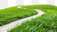 PNG Serene winding path through grass